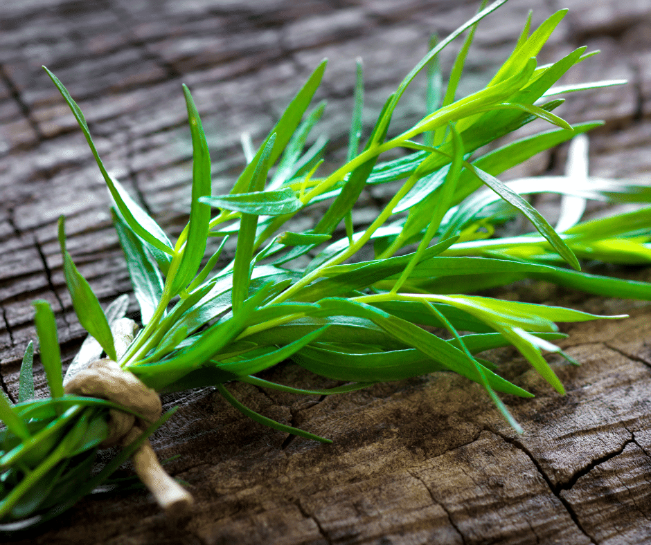 A jövőbe látó tárkonyos csirkeragu leves